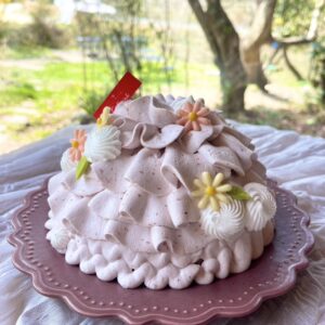 cocoai-cake20
