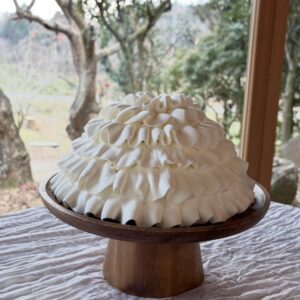 cocoai-cake24